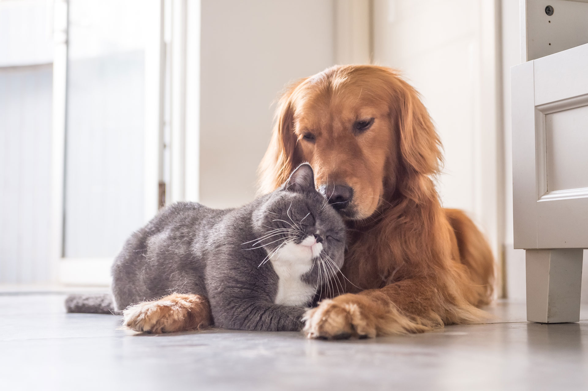 AdobeStock_156099814